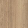 Texas oak